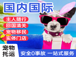 吕梁空运代理国际宠物托运 【国
